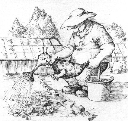 Seekännchen