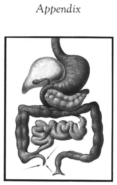 Appendix